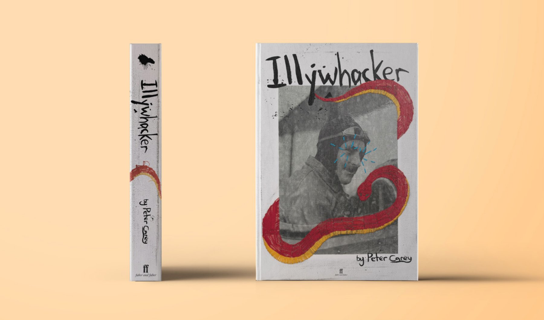 Illywhacker book cover design